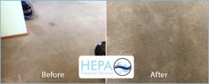 Side-by-side comparison of carpet before and after professional cleaning